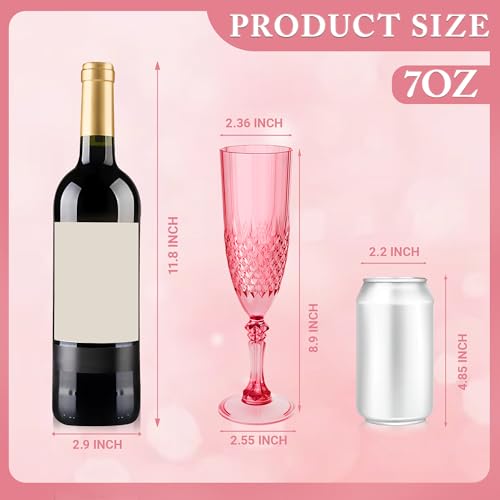 24 Pack Plastic Champagne Flutes (24 Count)