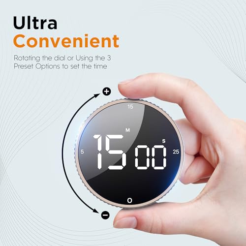 Digital Kitchen Timer (Tarnish)