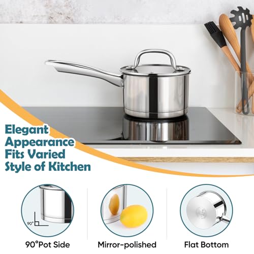1 Qt Saucepan with Lid (1 Quarts)