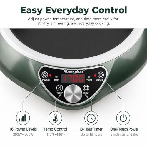 1700W Concave Induction Wok Burner (Cooktop with Nitrided Carbon Steel Wok)