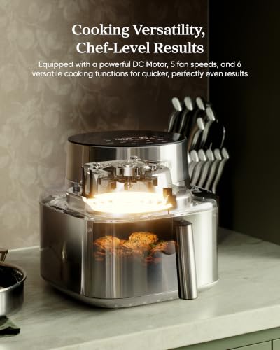 Iconic Stainless Steel Air Fryer (Stainless Steel Air Fryer / Stainless Steel)