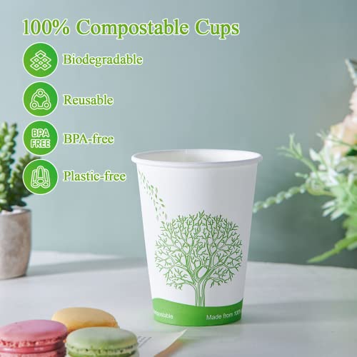 240 Count 12 oz Compostable Paper Cup (240Pack 12oz PLA Cups)