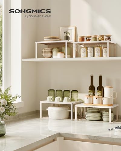 Set of 4 Metal Spice Racks (Oatmeal Beige / 4 Tiers (9"D x 12.6"W))