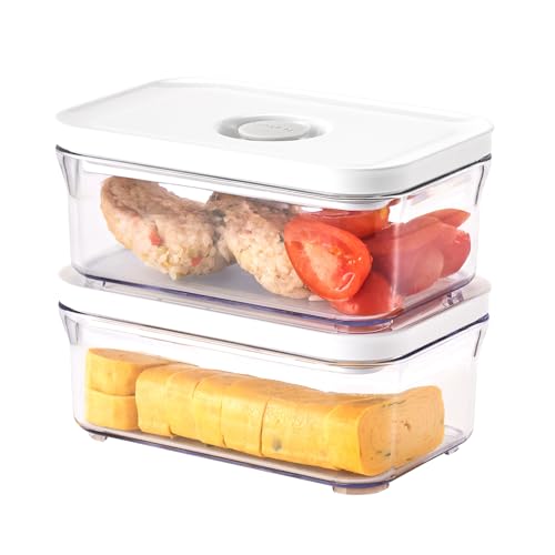 Premium Airtight Food Storage Containers (MINI RECTANGULAR 0.5LX2PCS)