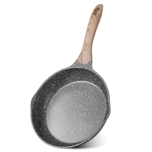 9.5 Inch Nonstick Frying Pan Skillet with Dual Spouts Omelet Egg Pan (Gray / 9.5")