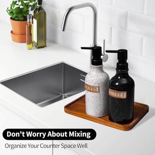 Hand and Dish Dispenser for Kitchen Sink (18 OZ)