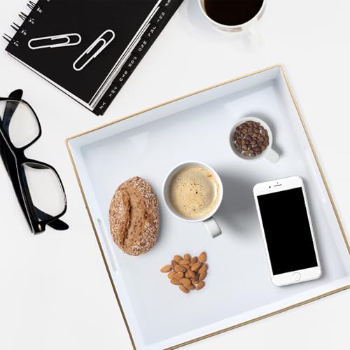 Decorative Tray (Sl005r)