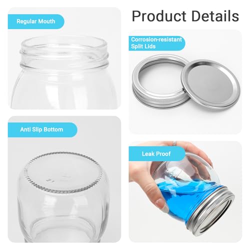 24 Pack 10 oz Clear Glass Mason Jars with Silver Metal Split Lids (10 oz - 24 Pack)