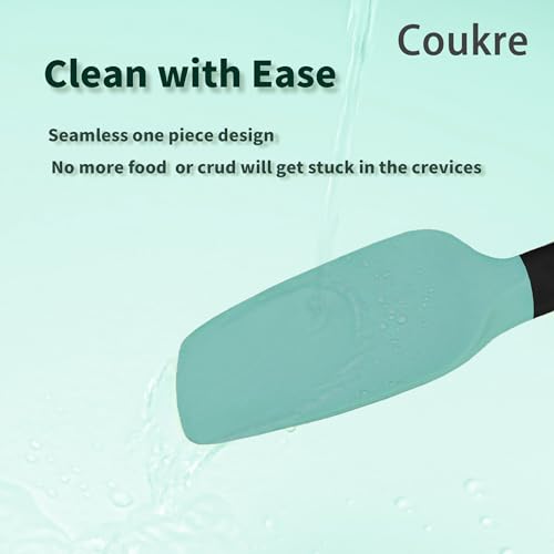 Silicone Spatula Set of 5 (Aqua Green Black)