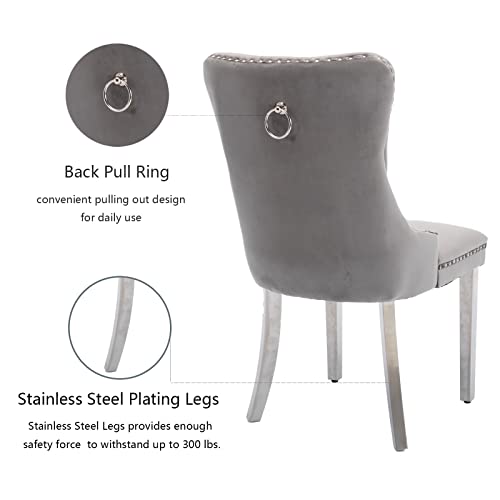 Grey Velvet Dining Chairs Set of 6 (Natural Gray)