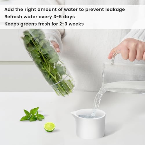 Herb Keeper for Refrigerator (1PCS)