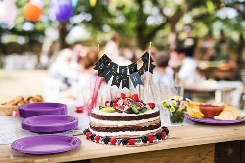 Sturdy Purple Plastic Plates 10" Party Plates 100 Pcs (10 inch / Purple)