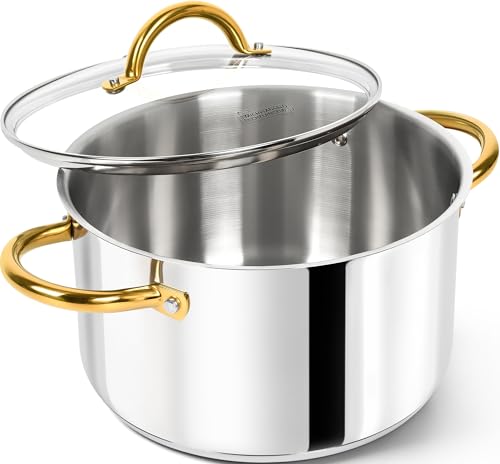 Stainless Steel Pots (6 Quarts)