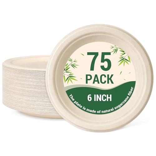 Small Compostable Paper Plates (Nature / 75 Count (6"))