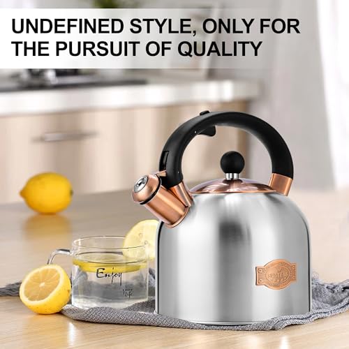 Tea Kettle 3.17QT Stainless Steel Whistling Tea Pot (Silver)