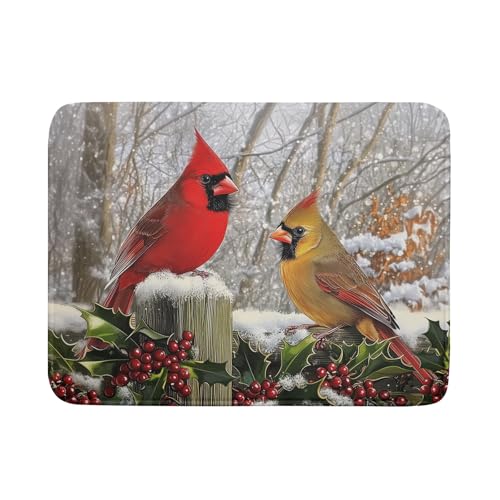 Winter Birds Dish Drying Mat Red Berry Dish Drainer Rack Mat Microfiber Absorbent Dish Drying Pad for Kitchen Counter Coffee Bar 18x24 Inch (Winter Red Birds / 24" x 18")