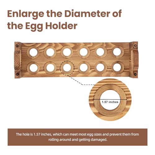 Egg Holder Countertop (36 Count)