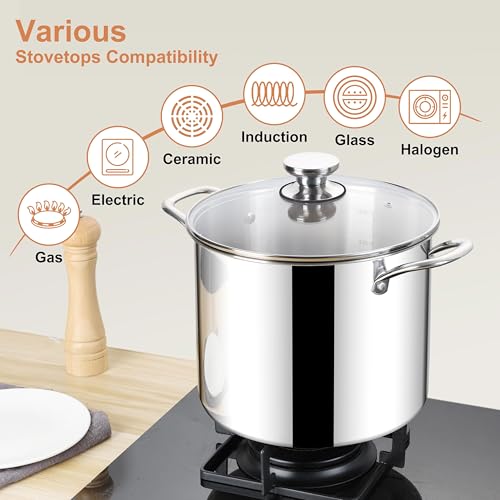12 QT Stock Pot
