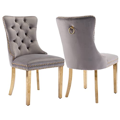 Grey Velvet Dining Chairs Set of 2 (Classic Gray)