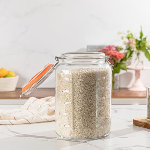 1 Gallon Glass Jar with Hinged Clamp (Gallon Jar - Pack of 1)