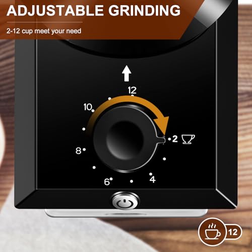 Electric Burr Coffee Grinder (Black)