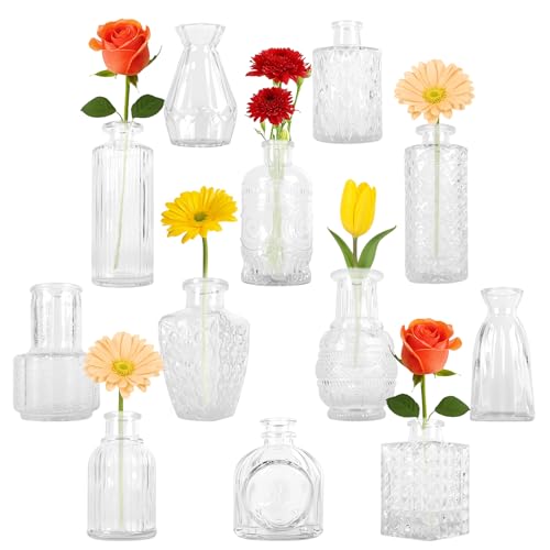 Glass Bud Vase Set of 12 Pcs