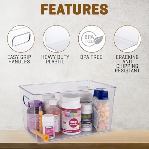 Clear Plastic Storage Bins with Lids (10 X 7.3 X 5)
