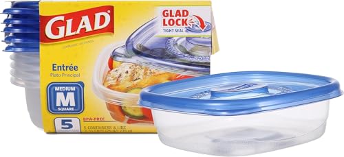 Ware Entree Food Storage Containers (Square / 5 Count (Pack of 1))