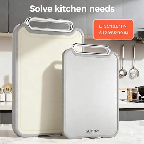 Stainless Steel Cutting Board for Kitchen (Set of 2(S+M))