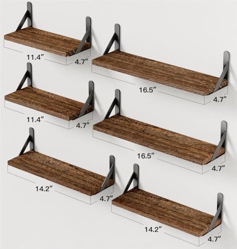 Amada Solid Paulownia Wood Wall Shelves (Brown / Medium)