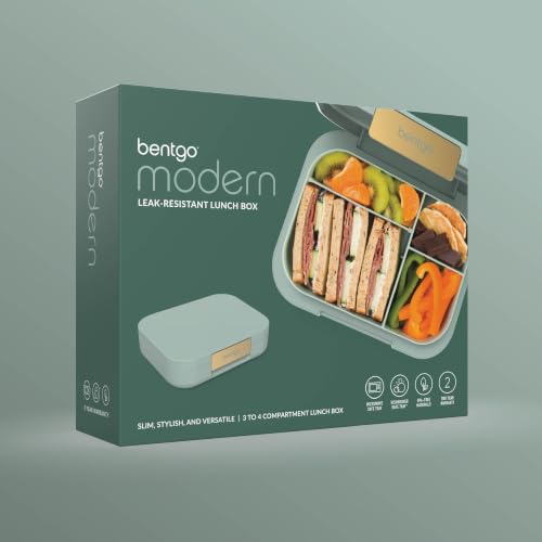 Modern Adult Bento Lunch Box with 3 (Mint Green)