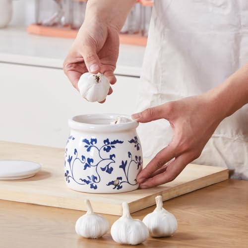 Terracotta Garlic Storage Container
