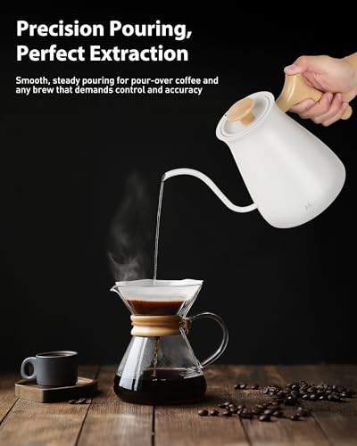 Gooseneck Electric Kettle (White / 0.8 Quarts)