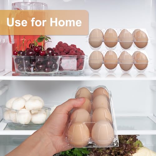 150 Pack Bulk Egg Cartons (8 Grids)