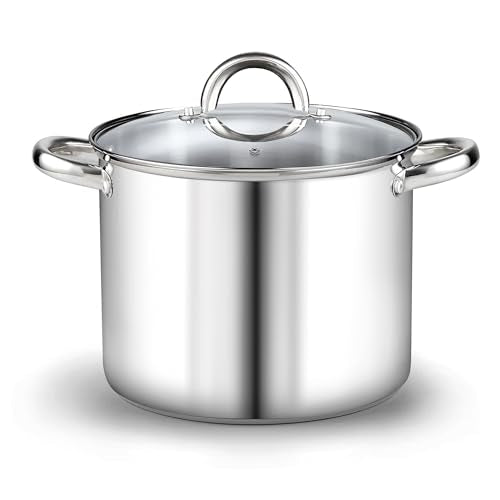 Basics 12 Quart Stainless Steel Stock Pot with Lid (12 Quarts / Silver)