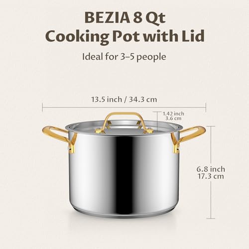 8 QT Stainless Steel Stock Pot with Lid (8 Quarts)