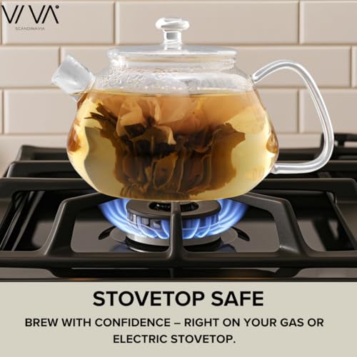 Viva Nicola All Borosilicate Glass Teapot with Lid Included