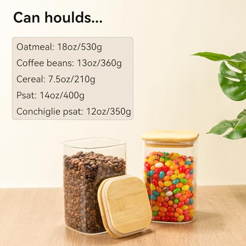 6 Pack Glass Pantry Storage Jars