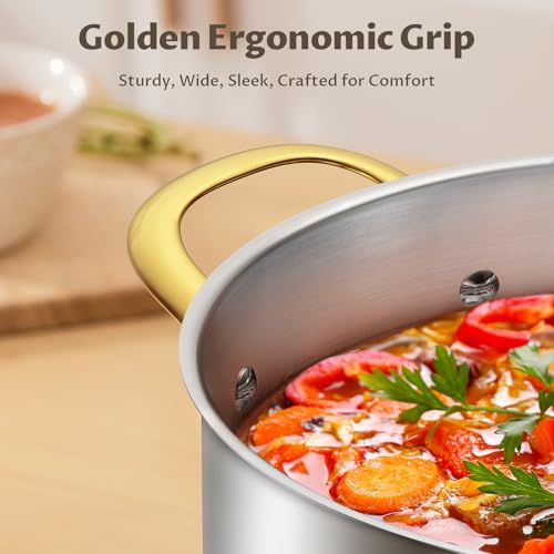 8 QT Stainless Steel Stock Pot with Lid (8 Quarts)
