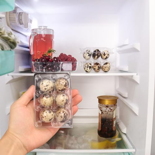 300 Pack Quail Egg Cartons (300 Pack Quail Egg Cartons 6 Grids)