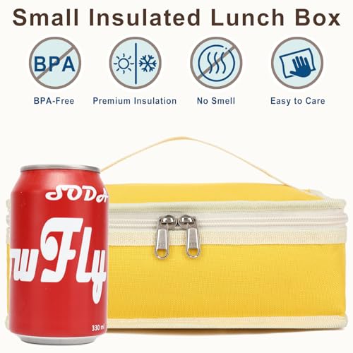 Small Insulated Lunch box Portable Soft Bag Mini Cooler Thermal Meal Tote Kit with Handle for Work & School