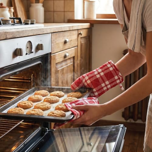 Oven Mitts and Pot Holders Set (Oven Glove + Pot Holder / Franca Red Checks)