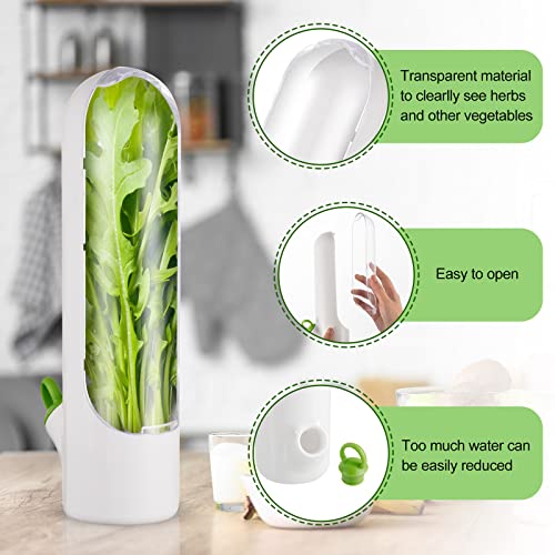 Herb Saver Pod Herb Keeper Vegetable Fresh Cilantro Containers for Refrigerator Keeping Bottle Herb Preserver for Mint Fridge Storage