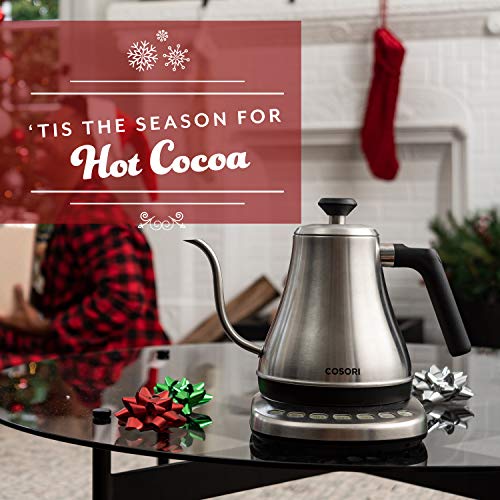 Gooseneck Electric Kettle with Temperature Control (Silver / 0.8 Quarts)