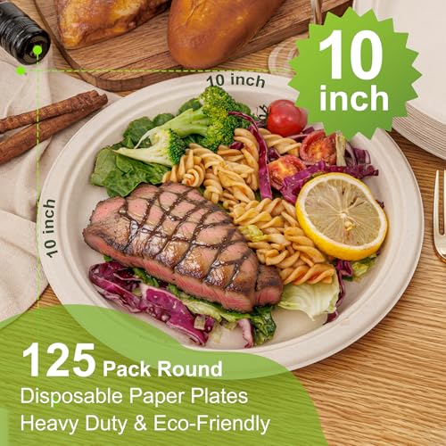Paper Plates 10 Inch 125 (Natural / 10Inch（125 PCS）)