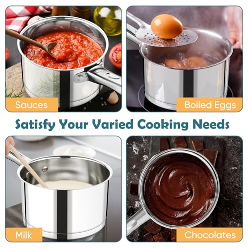 1 Qt Saucepan with Lid (1 Quarts)