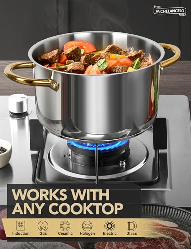 Stainless Steel Pots (10 Quarts)