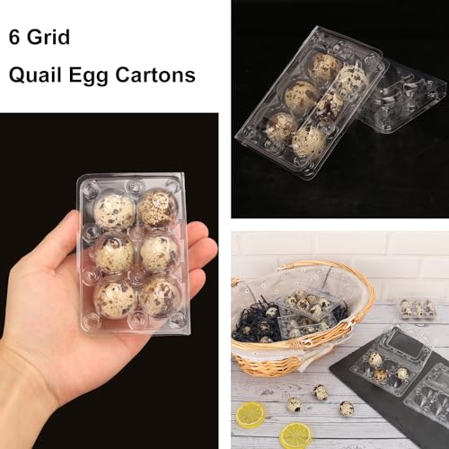 300 Pack Quail Egg Cartons (300 Pack Quail Egg Cartons 6 Grids)