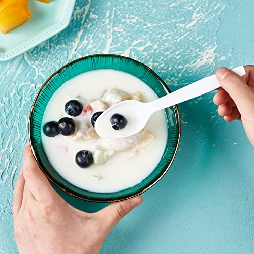 500 Count Heavy Duty White Plastic Tea Spoons Disposable Cutlery Party Utensils Heavyweight (tspoon)