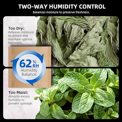 Smart Curing Jar 2L Vacuum Container for Fresh Storage